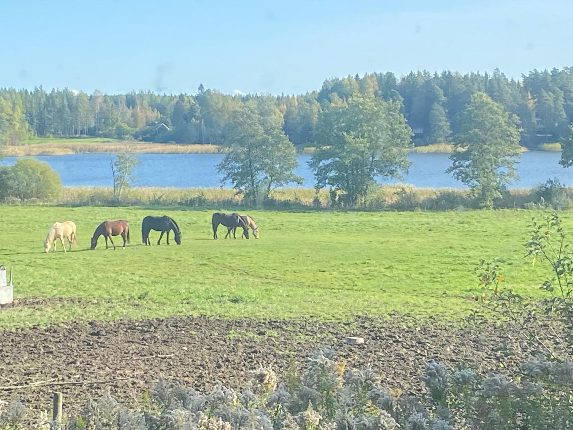 Ulvsby Ranch Western Camp 卡尔斯塔德 外观 照片