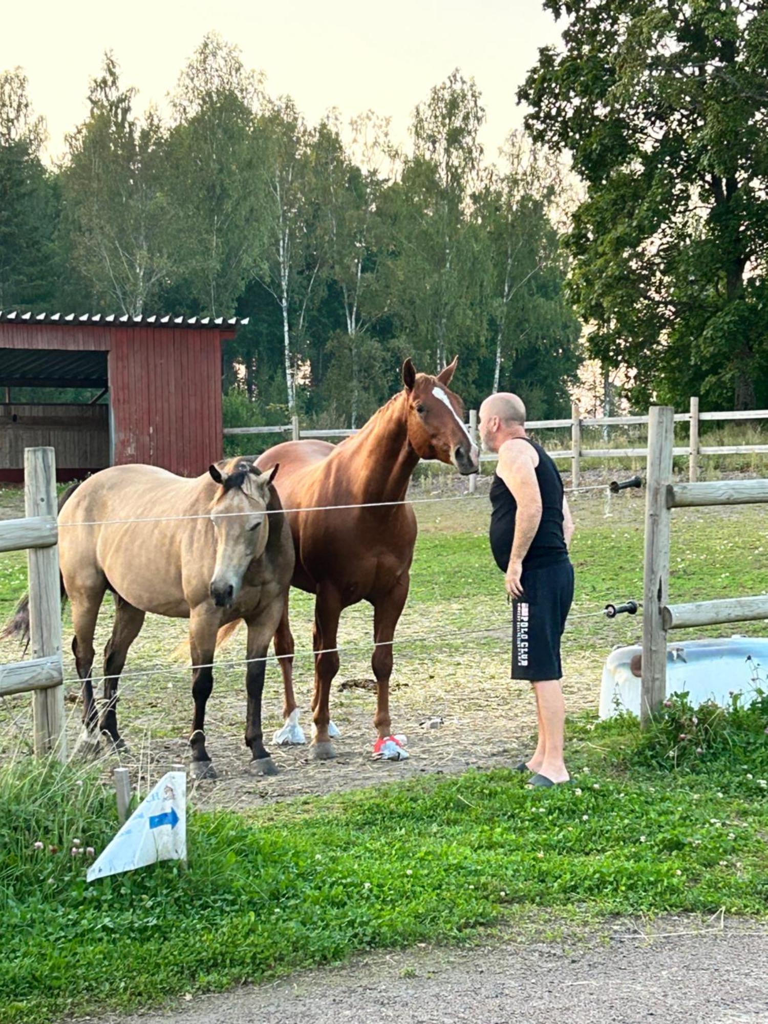 Ulvsby Ranch Western Camp 卡尔斯塔德 外观 照片